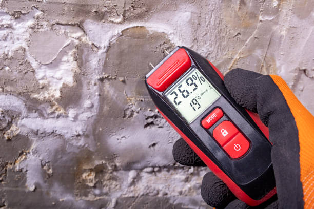 Best Mold Damage Repair  in Sag Harbor, NY